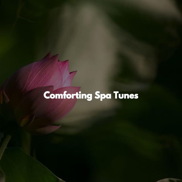 Comforting Spa Tunes