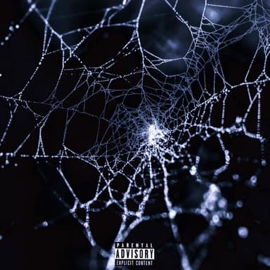 THE DARK WEB
