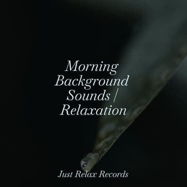 Morning Background Sounds | Relaxation