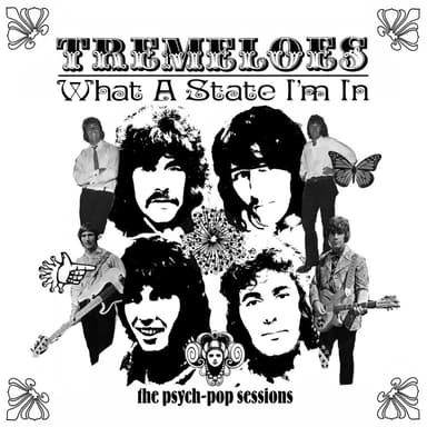 What A State I'm In: The Psych-Pop Sessions