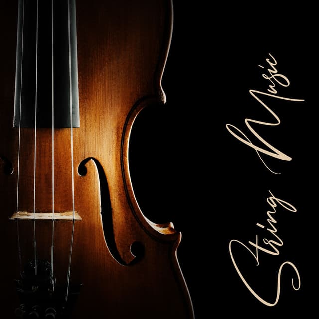 String Music - Relaxing Violin Pieces For Stress Relief