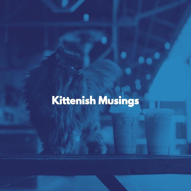 Kittenish Musings