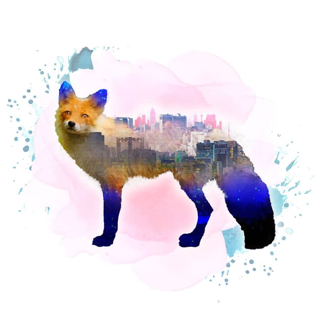 The letter from urban fox