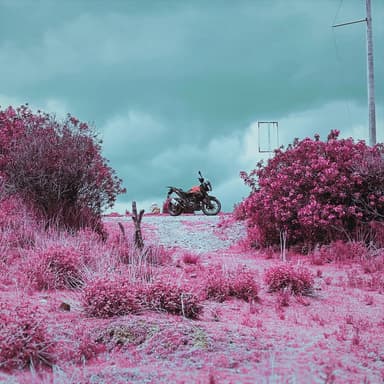 I Rode a Motorcycle to Lake Titicaca (Based Off of a True Story)