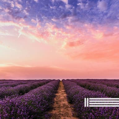 Calm Music For Deep Sleep