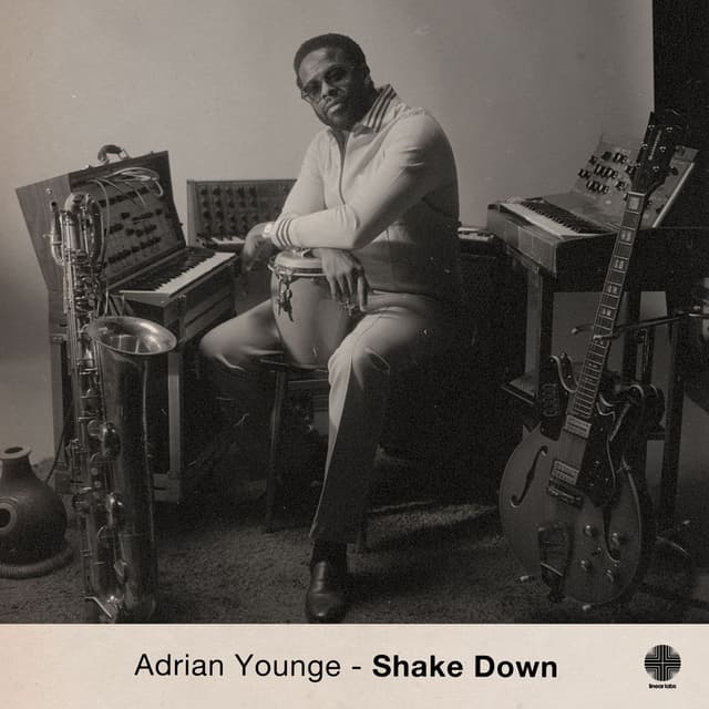 Shake Down