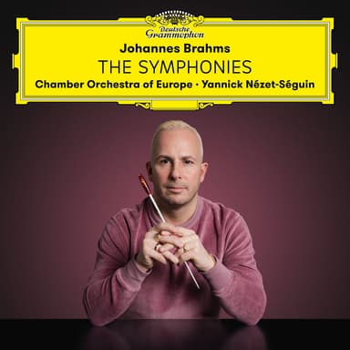Symphony No. 3 in F Major, Op. 90 : Brahms: Symphony No. 3 in F Major, Op. 90: III. Poco allegretto