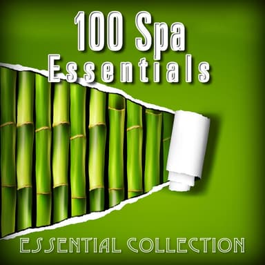 100 Spa Essentials