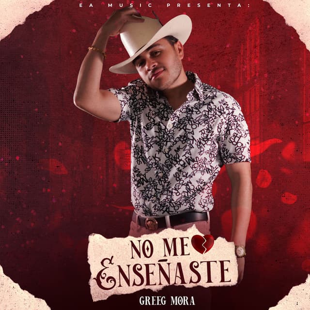 No Me Enseñaste