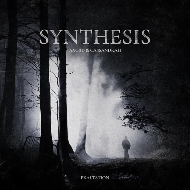 SYNTHESIS