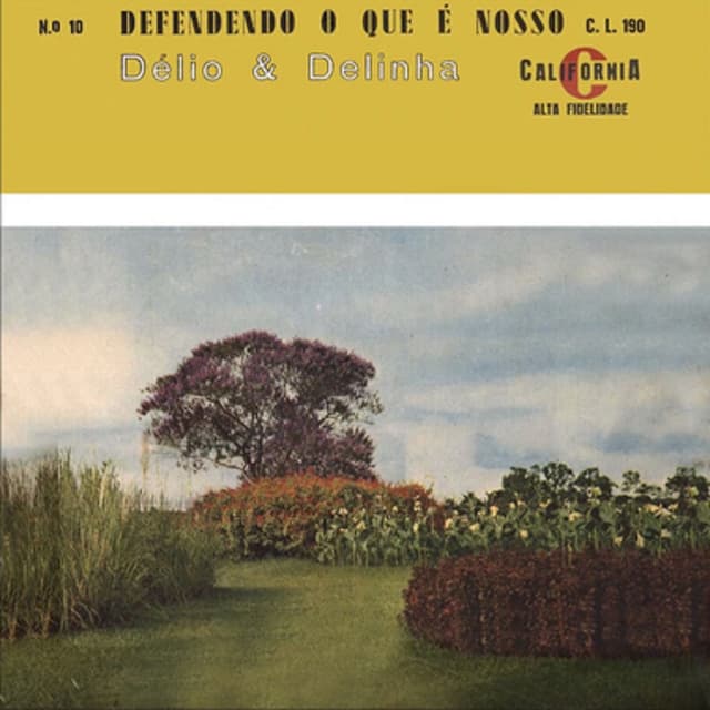 Defendendo o Que é Nosso