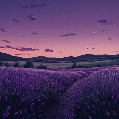 What is the Meaning of Life - A Lofi Sacred Experience