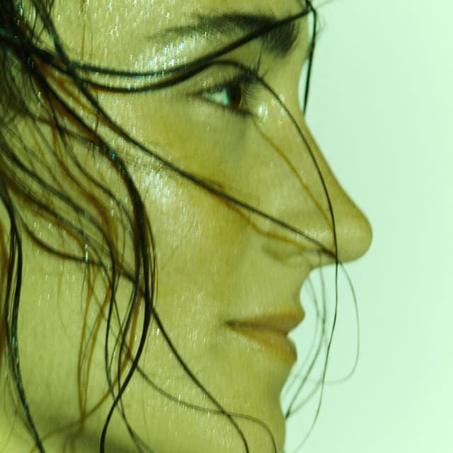 LOS CINCO ELEMENTOS