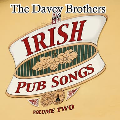 Best Of Irish Pub Songs Vol 2