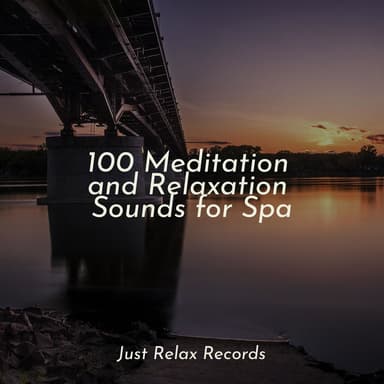 100 Meditation and Relaxation Sounds for Spa