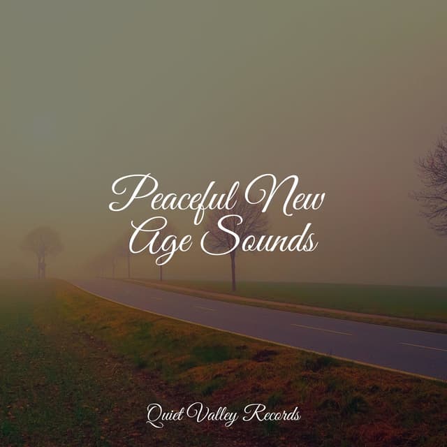 Peaceful New Age Sounds