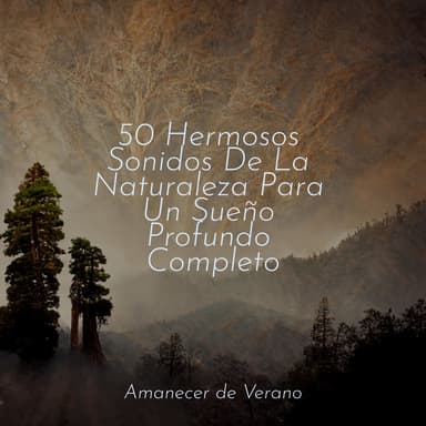 50 Hermosos Sonidos De La Naturaleza Para Un Sueño Profundo Completo