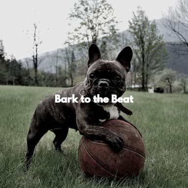 Bark to the Beat