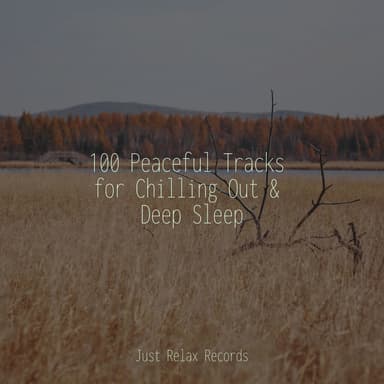 100 Peaceful Tracks for Chilling Out & Deep Sleep