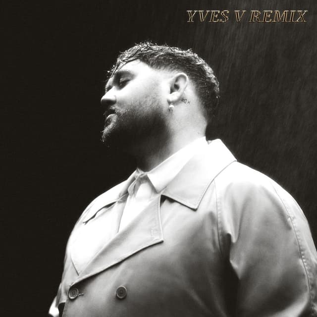 Fall in Your Arms (Remix)