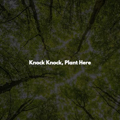 Knock Knock, Plant Here