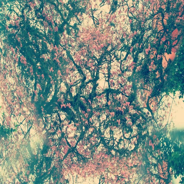 Staring Into Spaces (IV)