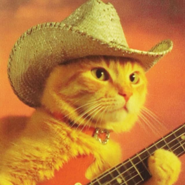 Texas Friday Night Blues