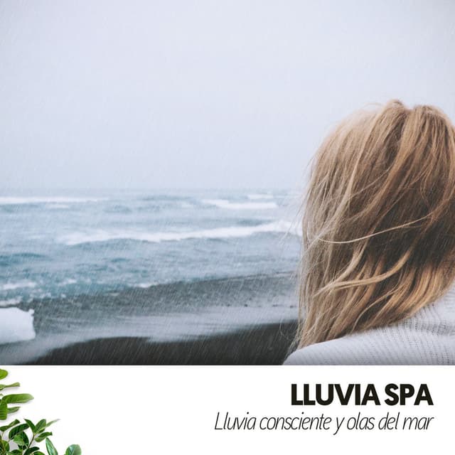 Lluvia Spa: Lluvia consciente y olas del mar