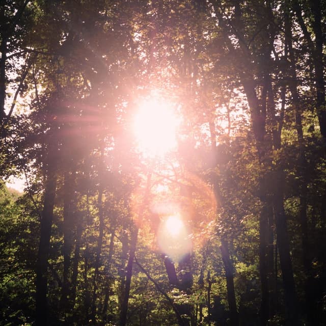 Of Dawning and Longing