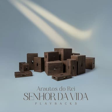 Senhor da Vida (Playback)
