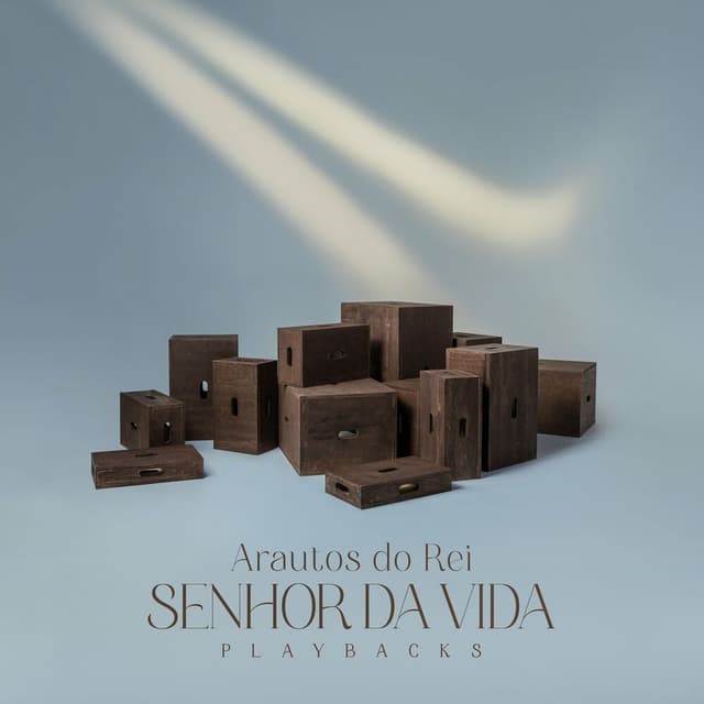 Senhor da Vida (Playback)
