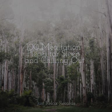 100 Meditation Pieces for Sleep and Chilling Out