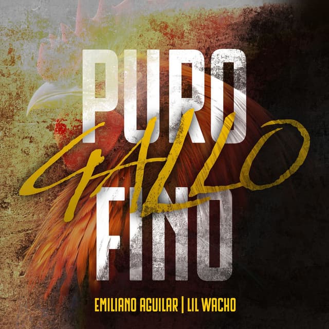 Puro Gallo Fino