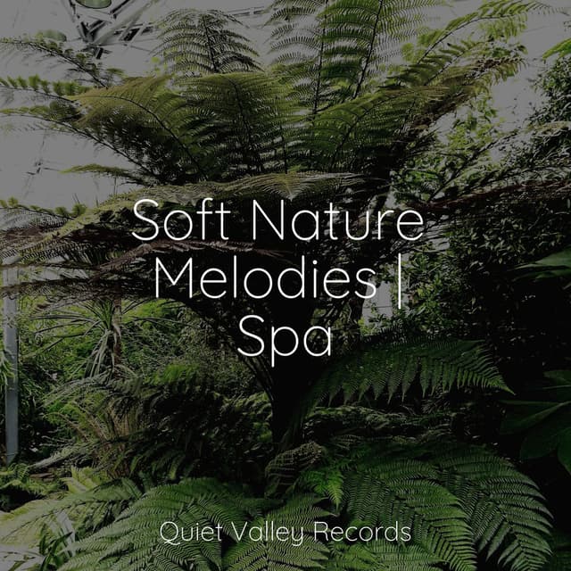 Soft Nature Melodies | Spa For Dogs