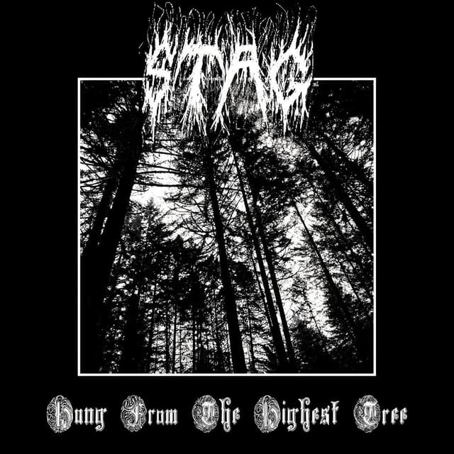 Hung from the Highest Tree