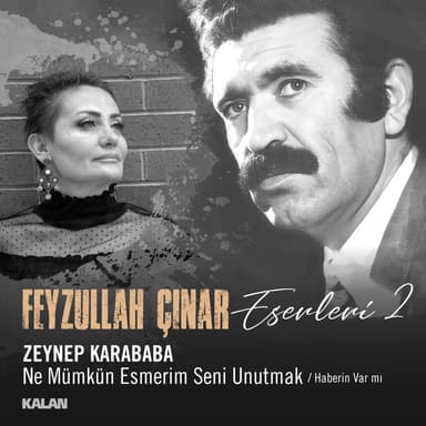 Ne Mümkün Esmerim Seni Unutmak / Haberin Var mı (Feyzullah Çınar Eserleri 2)