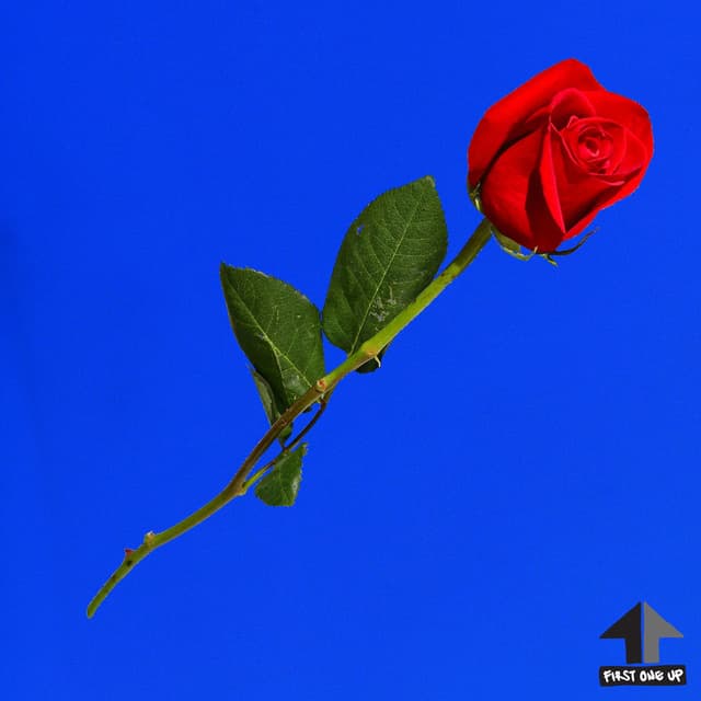 Do Us (feat. Kevin Saunderson)