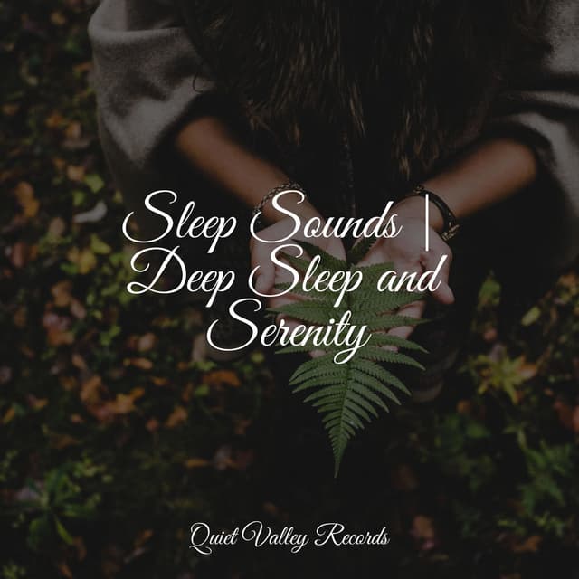 Sleep Sounds | Deep Sleep and Serenity
