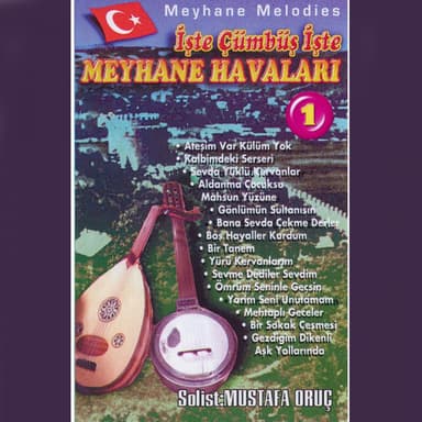 İşte Cümbüş Ve Meyhane Havaları, Vol. 1