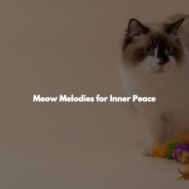 Meow Melodies for Inner Peace
