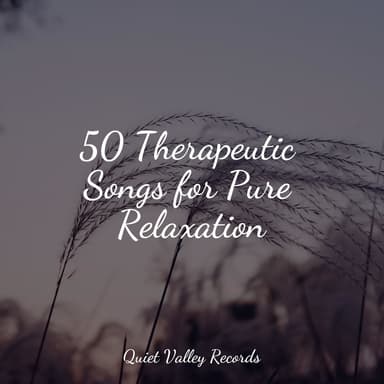 50 Therapeutic Songs for Pure Relaxation