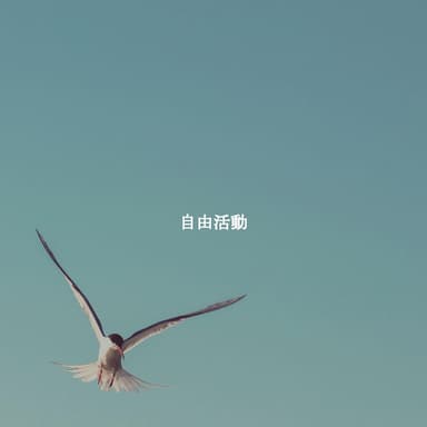 自由活動