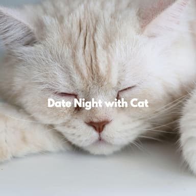 Date Night with Cat