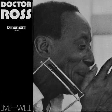 Blues and Boogie from Detroit (Live)