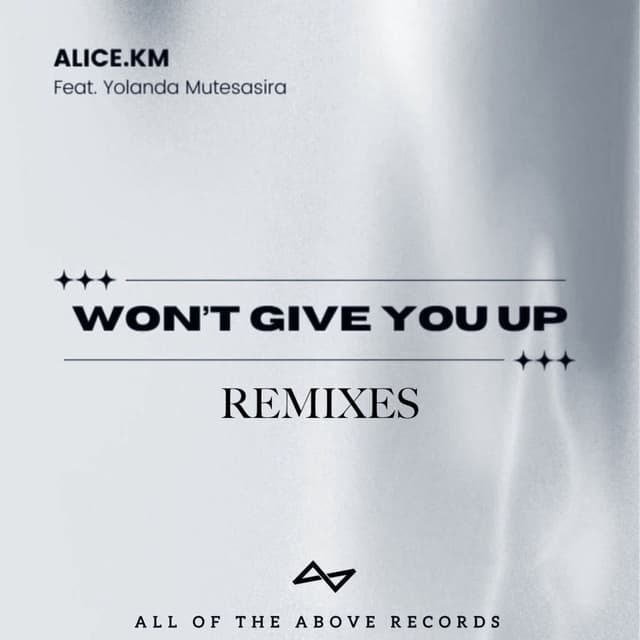 Won't Give You Up (Remixes)