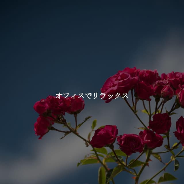 オフィスでリラックス