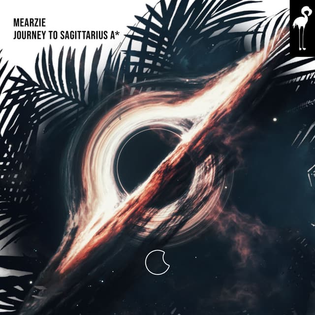Journey to Sagittarius A*