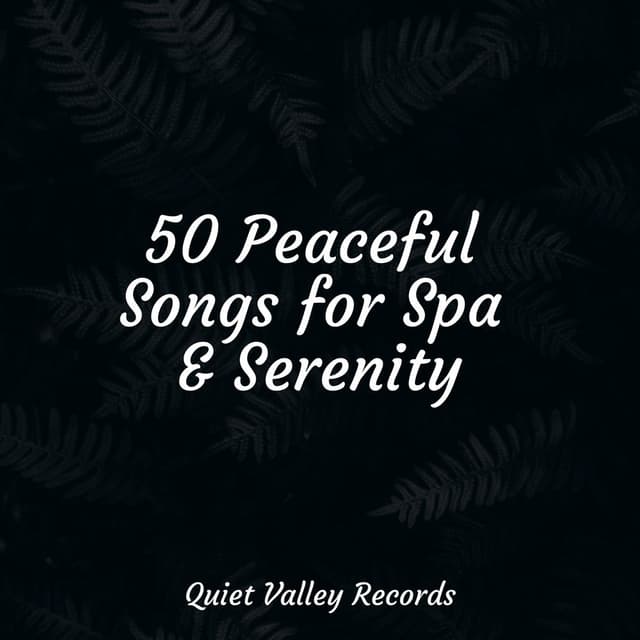 50 Peaceful Songs for Spa & Serenity
