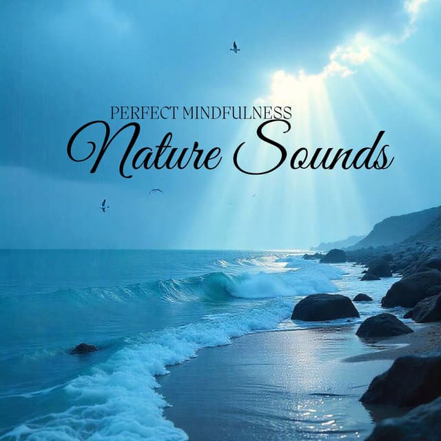 Perfect Mindfulness Nature Sounds
