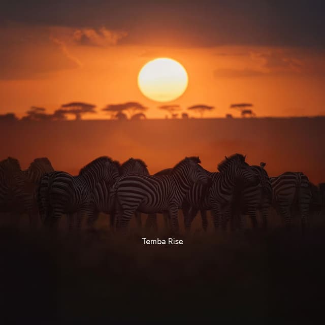 Dusk over Africa